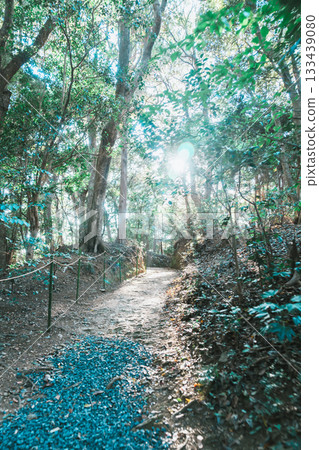Beautiful scenery at Ise Shrine 133439080