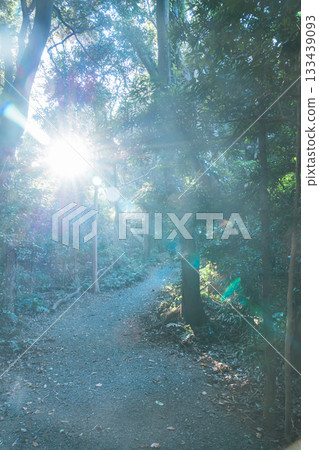 Beautiful scenery at Ise Shrine Beautiful scenery at Ise Shrine 133439093