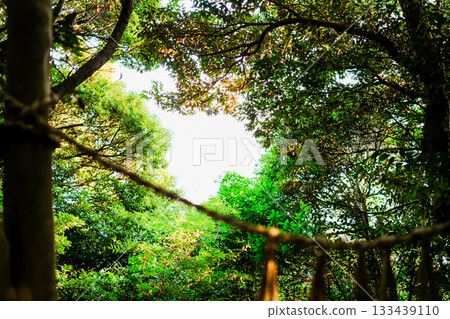 伊勢神宮景色優美 伊勢神宮景色優美 133439110