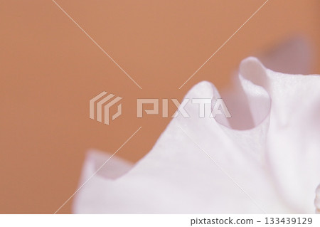 花特寫鏡頭 133439129