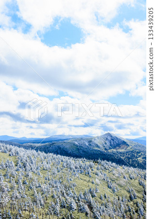 秋田縣仙北市大深澤展望台秋季觀賞覆滿霜雪的樹木 133439205
