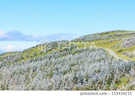 秋日八幡平展望台景色：樹木上掛滿了霧凇，秋田縣仙北市 133439215