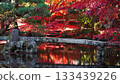 Autumnal leaves and Japanese garden Autumnal leaves and Japanese garden 133439226