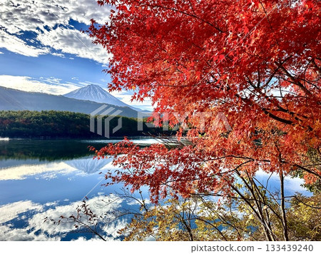 西湖和富士山 133439240