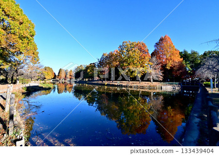 秋色正濃的丸山上尾公園 133439404