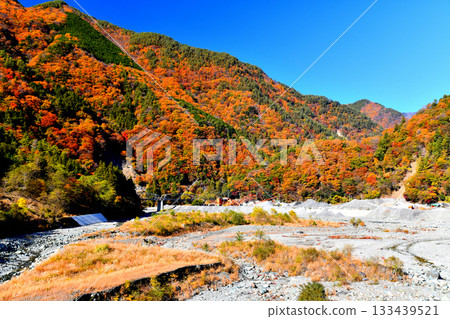Hayakawa Bridge / View from the Hayakawa River upstream (Hayakawa Ohashi Bridge) (Hayakawa Town, Yamanashi Prefecture) [November 2025] 133439521