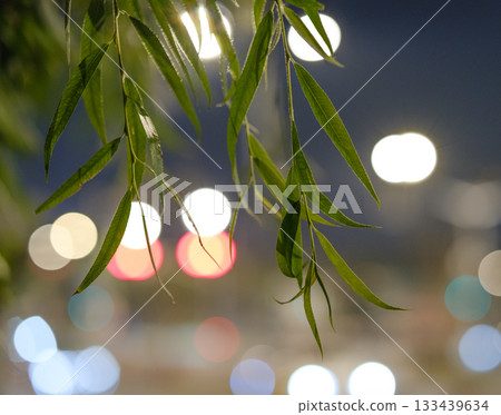 城市夜景光斑下的柳葉搖曳 133439634