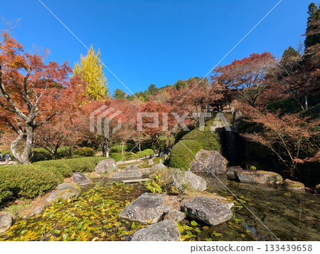 Autumn leaves 133439658