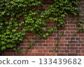 Red brick and plant wall 133439682