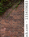 Red brick and plant wall 133439683