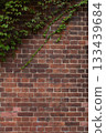 Red brick and plant wall 133439684