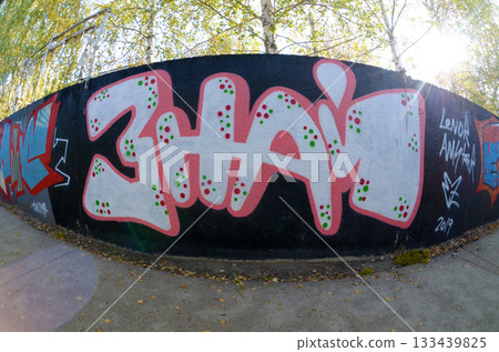 Fisheye shot of street art graffiti drawing on wall. Spray art artwork with different colors and outlines. Illegal vandalism concept Fisheye shot of street art graffiti drawing on wall. Spray art artwork with different colors and outlines. Illegal vandalism concept 133439825
