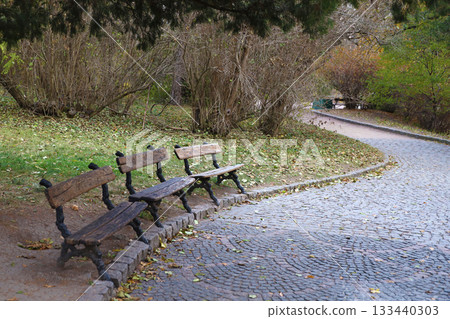 Beautiful Nature Autumn landscape. Scenery view on autumn city park with golden yellow foliage in cloudy day. Walking paths in the city Park strewn with autumn fallen leaves Beautiful Nature Autumn landscape. Scenery view on autumn city park with golden yellow foliage in cloudy day. Walking paths in the city Park strewn with autumn fallen leaves 133440303