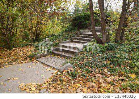 Beautiful Nature Autumn landscape. Scenery view on autumn city park with golden yellow foliage in cloudy day. Walking paths in the city Park strewn with autumn fallen leaves Beautiful Nature Autumn landscape. Scenery view on autumn city park with golden yellow foliage in cloudy day. Walking paths in the city Park strewn with autumn fallen leaves 133440320