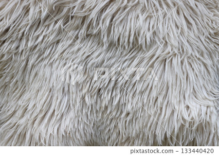 Sheep fur texture, white or gray animal patterns for nature background close up Sheep fur texture, white or gray animal patterns for nature background close up 133440420