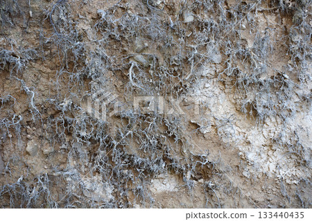 Earth section with different layers of soil, rocks and plant roots underground close up 133440435
