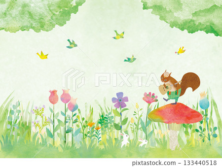 Squirrel and field 133440518