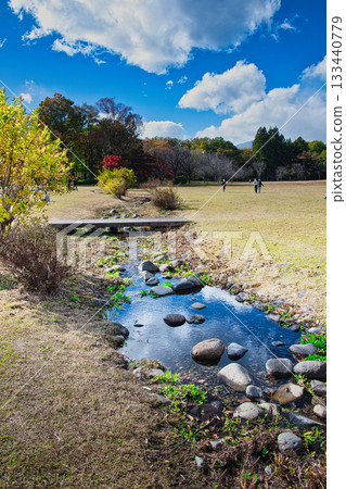 The beautiful autumn scenery of Nikko Daiyagawa Park with its autumn leaves and clear skies 133440779