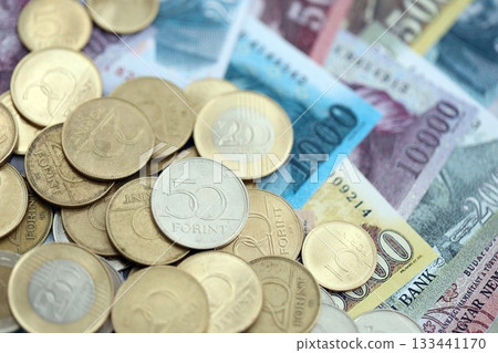Big amount of Hungarian Forint currency money bills and coins. HUF currency banknotes and coins close up Big amount of Hungarian Forint currency money bills and coins. HUF currency banknotes and coins close up 133441170