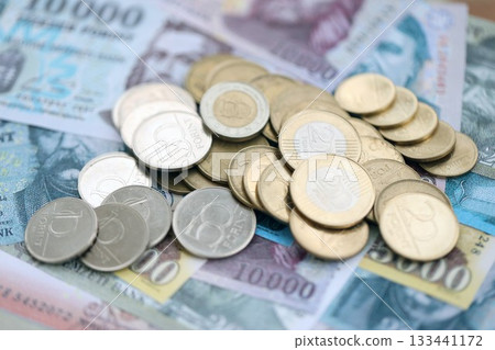 Bunch of Hungarian Forint currency money bills and coins. HUF currency banknotes and coins close up Bunch of Hungarian Forint currency money bills and coins. HUF currency banknotes and coins close up 133441172