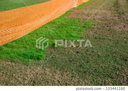 公園廣場草坪維護 公園廣場草坪維護 133441180