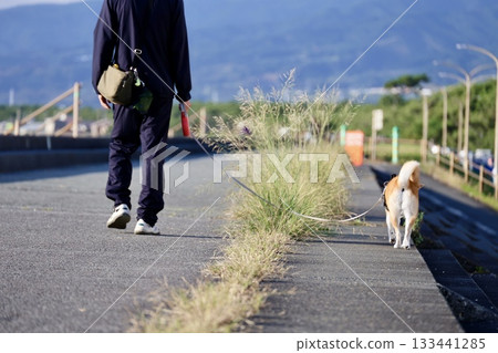 A man walking a dog 133441285