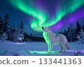 Wolf watching the aurora scenery - AI generated 133441363