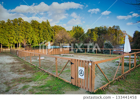 A spacious dog run that is extremely popular with dogs 133441458