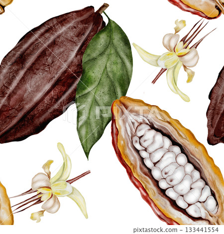 Cocoa beans with flowers seamless watercolor pattern. Superfood ornament. Hand-drawn watercolor illustration on a white background. For chocolate and cocoa product designs. Cocoa beans with flowers seamless watercolor pattern. Superfood ornament. Hand-drawn watercolor illustration on a white background. For chocolate and cocoa product designs. 133441554