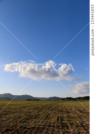 金色的秋稻田和藍天 / 冬日鄉村 133441655