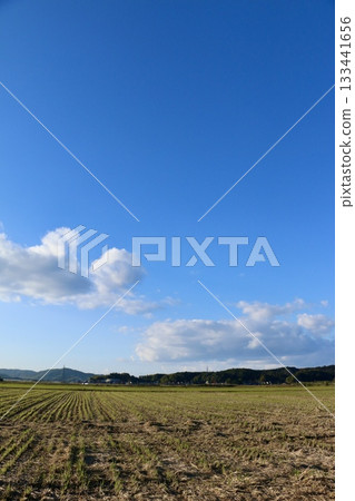 Golden autumn rice fields and blue sky / Winter countryside 133441656