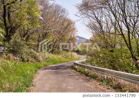 Road in Higashitahara, Hadano City, Kanagawa Prefecture Road in Higashitahara, Hadano City, Kanagawa Prefecture 133441790