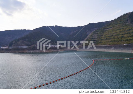 Spring at Lake Miyagase in Kanagawa Prefecture 133441812