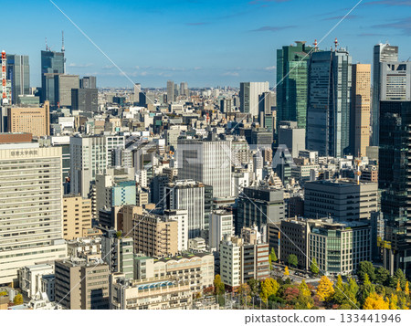 Skyscrapers seen from Tokyo Tower 133441946