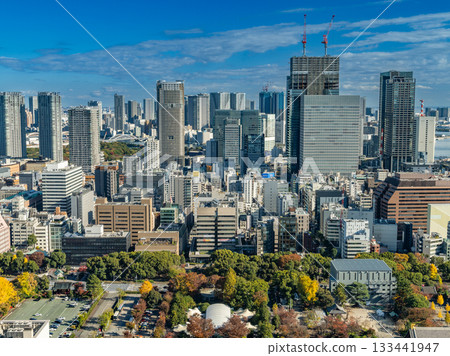 Skyscrapers seen from Tokyo Tower Skyscrapers seen from Tokyo Tower 133441947