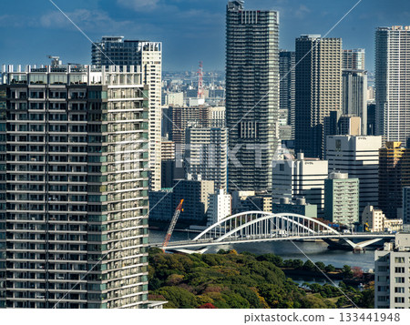 Skyscrapers seen from Tokyo Tower 133441948