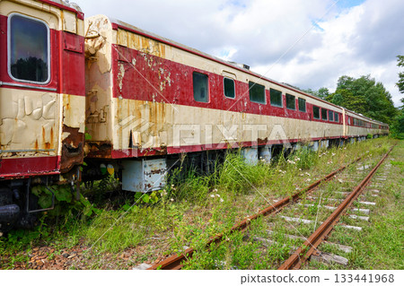 Kiha 82 series diesel railcar at Crawford Park (Summer 2025) 133441968