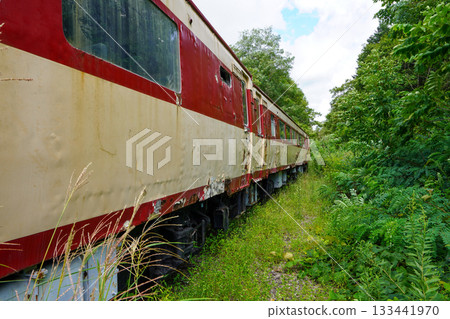 克勞福德公園的 Kiha 82 系列柴油列車（2025 年夏季） 133441970