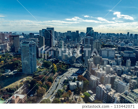 從東京鐵塔看到的風景 133442071