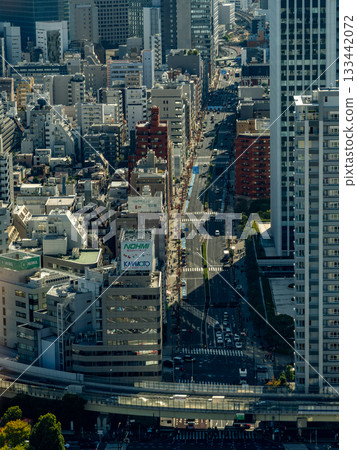從東京鐵塔看到的風景 從東京鐵塔看到的風景 133442072