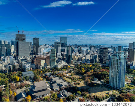 從東京鐵塔看到的風景 從東京鐵塔看到的風景 133442073