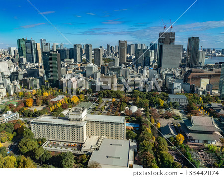 從東京鐵塔看到的風景 從東京鐵塔看到的風景 133442074