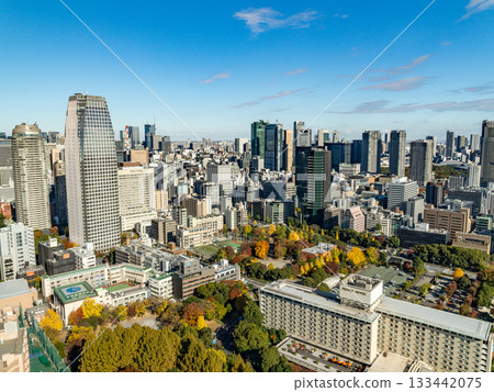 從東京鐵塔看到的風景 從東京鐵塔看到的風景 133442075