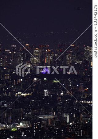 大阪城在紫色燈光的襯托下顯得格外迷人－大阪平原夜景 133442178