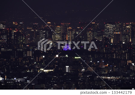 大阪城在紫色燈光的襯托下顯得格外迷人－大阪平原夜景 133442179