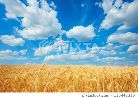 A picturesque golden wheat field under a bright blue sky. Neural network ai generated art 133442330