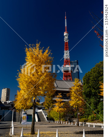 從芝公園眺望東京鐵塔和增上寺 從芝公園眺望東京鐵塔和增上寺 133442624