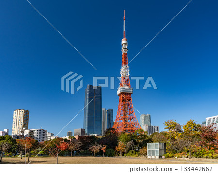 從芝公園看到的東京塔 133442662