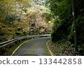 A quiet curve on a mountain road surrounded by autumn leaves 133442858