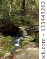 Mossy stone steps and stream path 133443262